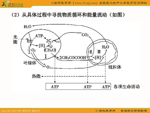 高三2011年一輪復習系列課件之光合作用和細胞呼吸的知識梳理與題型探究下載 生物 21世紀教育網(wǎng)