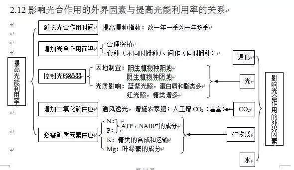 詳解光合作用，輕松掌握高中生物知識點